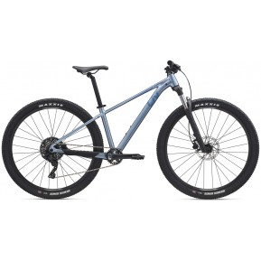 Велосипед 29" Liv Tempt 2 silver frost M 2026 Фото №1